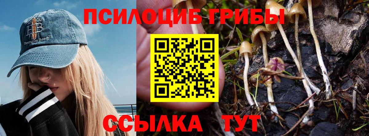 Галлюциногенные грибы Magic Shrooms  Вход с VPN  наркотики  Асбест 